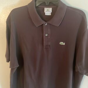Lacoste polo brown size 7